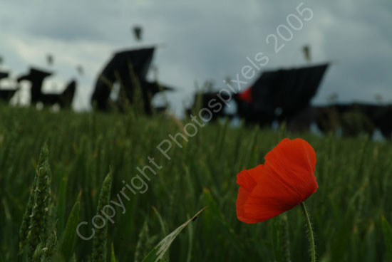 DSCF6921